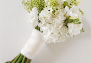 Types Of Filler Flowers Winter Flowers for Weddings