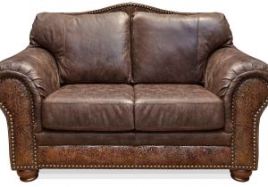 Types Of Leather Couches for Dogs Leather sofa and Dogs Best Dog sofa Beds thesofa