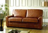 Types Of Leather Couches for Dogs Types Of Leather for sofas thecreativescientist Com