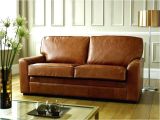 Types Of Leather Couches for Dogs Types Of Leather for sofas thecreativescientist Com