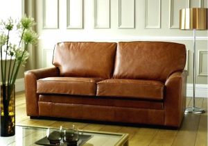 Types Of Leather Couches for Dogs Types Of Leather for sofas thecreativescientist Com