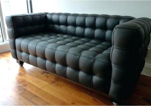 Types Of Leather Couches for Dogs Types Of Leather sofas Www Gradschoolfairs Com