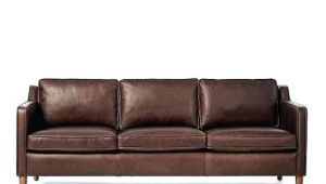 Types Of Leather Couches for Dogs Types Of sofas Types Of sofas top Couches and Chairs thesofa