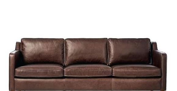 Types Of Leather Couches for Dogs Types Of sofas Types Of sofas top Couches and Chairs thesofa