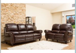 Types Of Leather sofa Sets Leather sofas Loveseats torahenfamilia Com Different