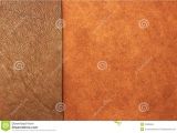 Types Of Leather Upholstery Finishes Different Types Of Leather Texture Background Royalty Free