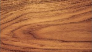 Types Of Walnut Wood Walnut the Pros and Cons Of Different Types Of Wood