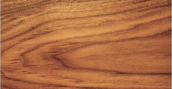 Types Of Walnut Wood Walnut the Pros and Cons Of Different Types Of Wood