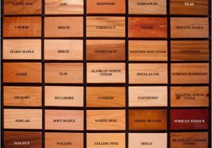 Types Of Walnut Wood Wood Species Oak Red Cedar Pine Alder Cherry Hickory Maple