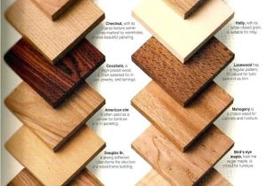 Types Of Wood Furniture Materials Different Types Of Wood for Furniture Shining Ideas