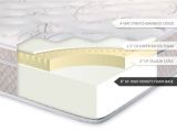 Ultimate Dreams Eurotop Latex Mattress Ultimate Dreams Eurotop Latex Mattress Dreamfoam Bedding