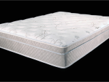 Ultimate Dreams Eurotop Latex Mattress Ultimate Dreams Eurotop Latex Mattress Dreamfoam Bedding