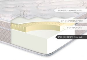 Ultimate Dreams Eurotop Latex Mattress Ultimate Dreams Eurotop Latex Mattress Dreamfoam Bedding