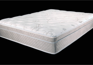 Ultimate Dreams Eurotop Latex Mattress Ultimate Dreams Eurotop Latex Mattress Dreamfoam Bedding