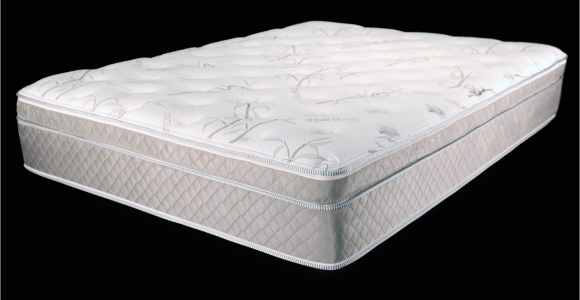 Ultimate Dreams Eurotop Latex Mattress Ultimate Dreams Eurotop Latex Mattress Dreamfoam Bedding