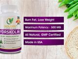 Ultra Trim 350 forskolin Amazon Com 100 Pure forskolin Extract for Weight Loss Maximum