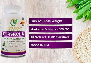 Ultra Trim 350 forskolin Amazon Com 100 Pure forskolin Extract for Weight Loss Maximum