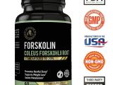 Ultra Trim 350 forskolin Amazon Com Ipro organic Supplement forskolin Coleus forskonlil Root