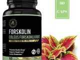 Ultra Trim 350 forskolin Amazon Com Ipro organic Supplement forskolin Coleus forskonlil Root