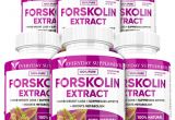 Ultra Trim 350 forskolin Gnc All About forskolin 20 and Thyroid Pure Natural forskolin Slim Www