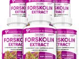 Ultra Trim 350 forskolin Gnc All About forskolin 20 and Thyroid Pure Natural forskolin Slim Www