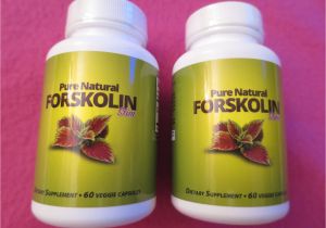 Ultra Trim 350 forskolin Gnc All About forskolin 20 and Thyroid Pure Natural forskolin Slim Www