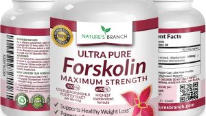 Ultra Trim 350 forskolin Gnc All About forskolin 20 and Thyroid Pure Natural forskolin Slim Www