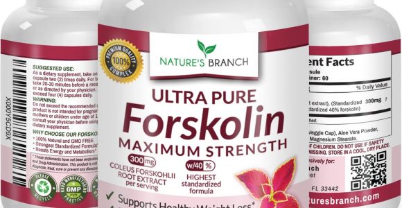 Ultra Trim 350 forskolin Gnc All About forskolin 20 and Thyroid Pure Natural forskolin Slim Www