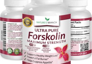 Ultra Trim 350 forskolin Reviews All About forskolin 20 and Thyroid Pure Natural forskolin Slim Www