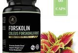 Ultra Trim 350 forskolin Reviews Amazon Com Ipro organic Supplement forskolin Coleus forskonlil Root