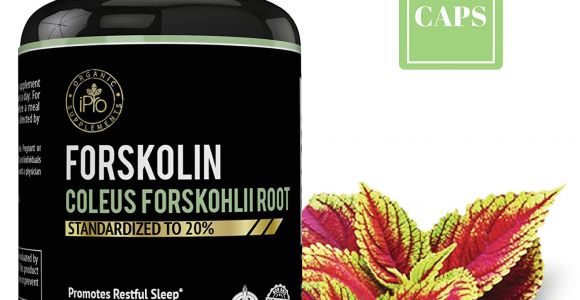 Ultra Trim 350 forskolin Reviews Amazon Com Ipro organic Supplement forskolin Coleus forskonlil Root