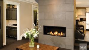 Valor Linear Gas Fireplace Reviews Valor L1 Linear Series Gas Fireplaces Fireplaces