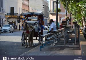 Venta De Carritos Para Tacos En Merida Yucatan Horse Merida Mexico Imagenes De Stock Horse Merida Mexico Fotos De