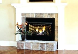 Ventless Gas Fireplace Logs Reviews Free Interior the Ventless Gas Fireplace Reviews Ventless