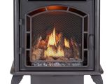 Ventless Gas Fireplace Logs Reviews Ventless Gas Fireplaces for Sale 1000 Ideas About Gas