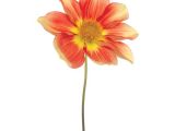 Vetro D Arte Tempered Art Glass Shop Empire Art 39 Red Yellow Dahlia 39 Frameless Free