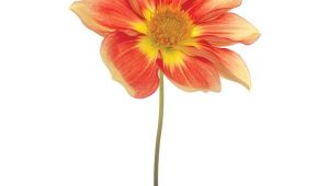 Vetro D Arte Tempered Art Glass Shop Empire Art 39 Red Yellow Dahlia 39 Frameless Free