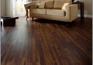 Vinyl Flooring Good for Dogs Best Vinyl Plank Flooring for Dogs Gurus Floor