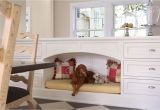 Vinyl Flooring Good for Dogs Choosing the Best Type Of Flooring for Dogs and their Owners