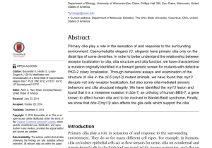 Waste Oil Disposal Eau Claire Wi Pdf Opposing Activities Of Lit 1 Nlk and Daf 6 Patched Related