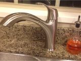 Water Ridge Faucet Costco Recall Review Costco Wr Water Ridge Pull Out Faucet Brushed Nickel Youtube