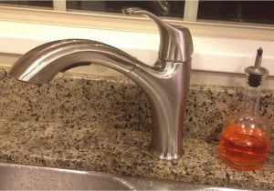 Water Ridge Faucet Costco Recall Review Costco Wr Water Ridge Pull Out Faucet Brushed Nickel Youtube