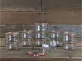 Weck Jars with Wood Lids Weck Mold Jars Mini 5 6 Oz Case Of 12 Glass Jars 976 Kitchen