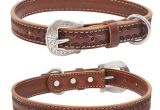 Western tooled Leather Dog Collars Weaver Hand tooled Western Style Leather Dog Collar Lead