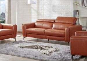 What is the Best Type Of Leather Furniture to Buy Types Of Leather Couches Skcarwash