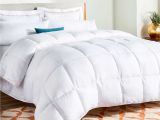 What is the Fluffiest Down Alternative Comforter 15 Best Down and Alternative Comforters 2018