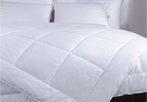 What is the Fluffiest Down Alternative Comforter 3 Best Down Alternative Comforters Available In the Market