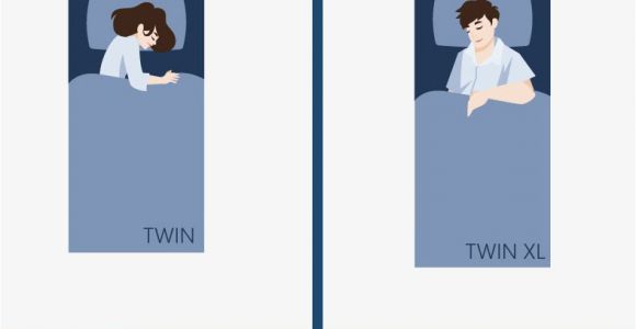 What S the Difference Between Twin and Twin Xl Twin Vs Twin Xl Mattress What 39 S Size the Difference