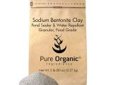 Where to Buy sodium Bentonite Pond Sealer Amazon Com Granular sodium Bentonite Clay 5 Lb 80 Oz by Pure