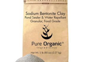 Where to Buy sodium Bentonite Pond Sealer Amazon Com Granular sodium Bentonite Clay 5 Lb 80 Oz by Pure